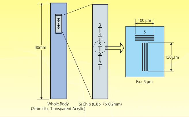 JIMA-Layout-CT-01